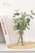 3Pcs Artificial Eucalyptus Stems in Glass Vase (Double-Sided Green Eucalyptus)